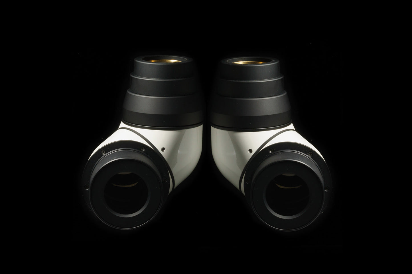 Matsumoto Erecting Mirror Diagonals (Pair for binoscopes)