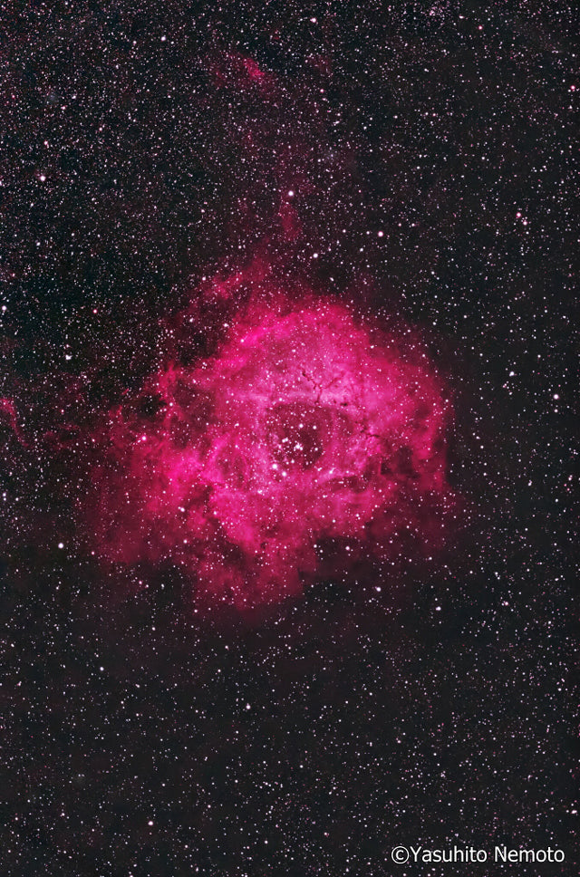 Quad BP III Filter